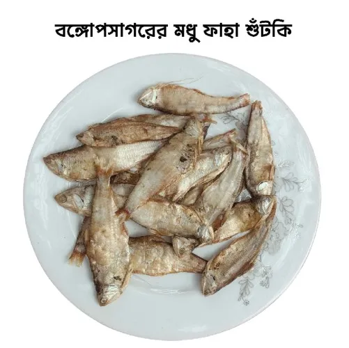 বঙ্গোপসাগরের মধুময় শুঁটকি(ফাহা )